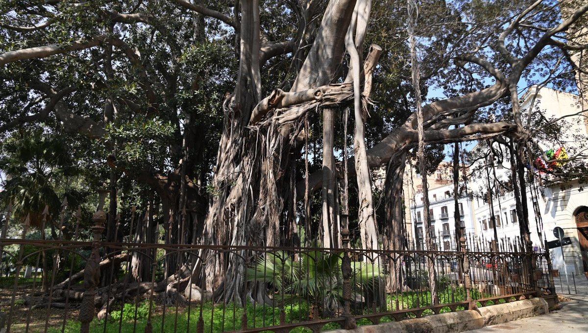 Repubblica Palermo tweet media