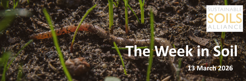 Sustainable Soils Alliance 🌱 tweet media