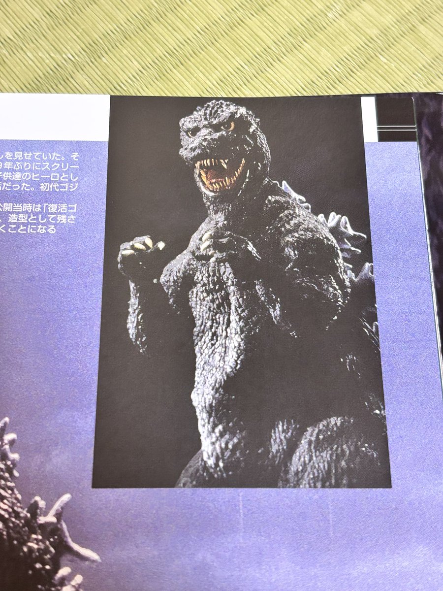 合体戦士 tweet media