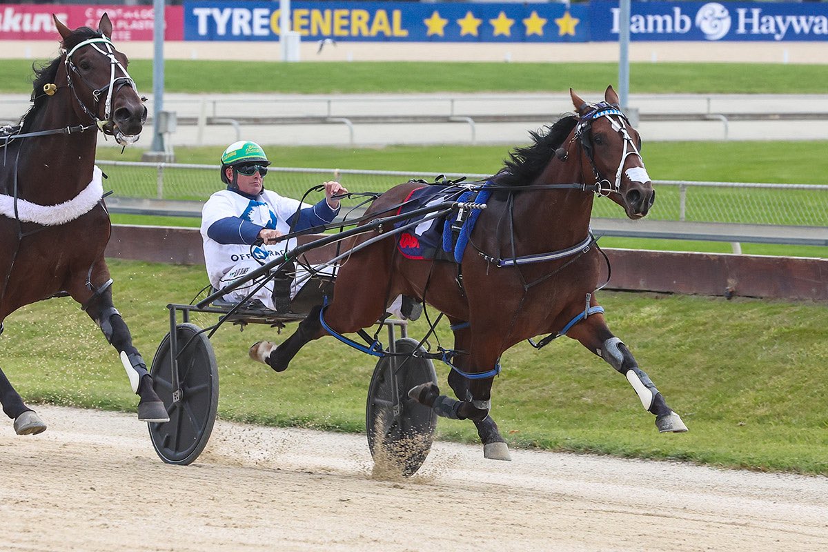 Andrew Fitzgerald tweet media