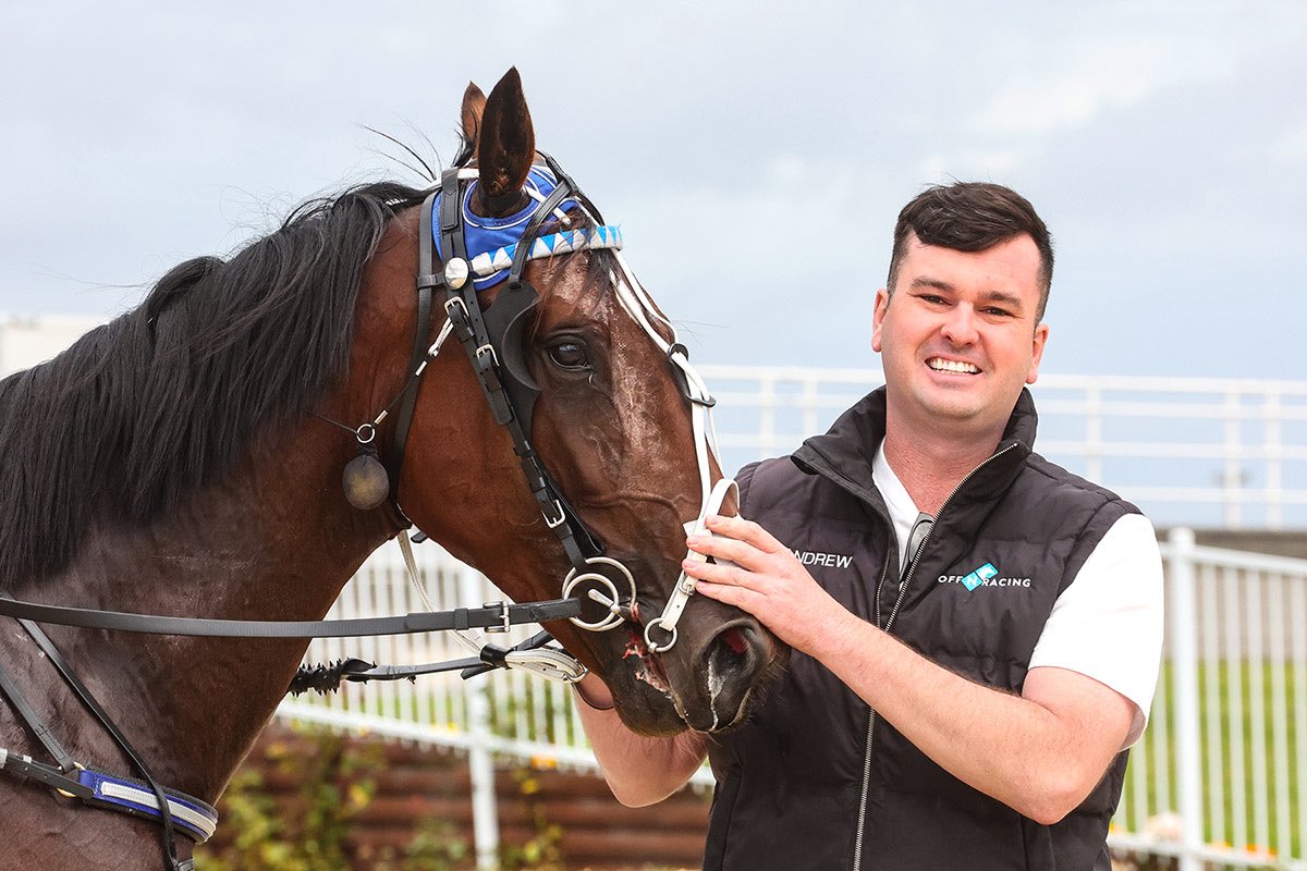 Andrew Fitzgerald tweet media