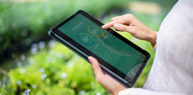 Wojtek Jabczyński tweet media