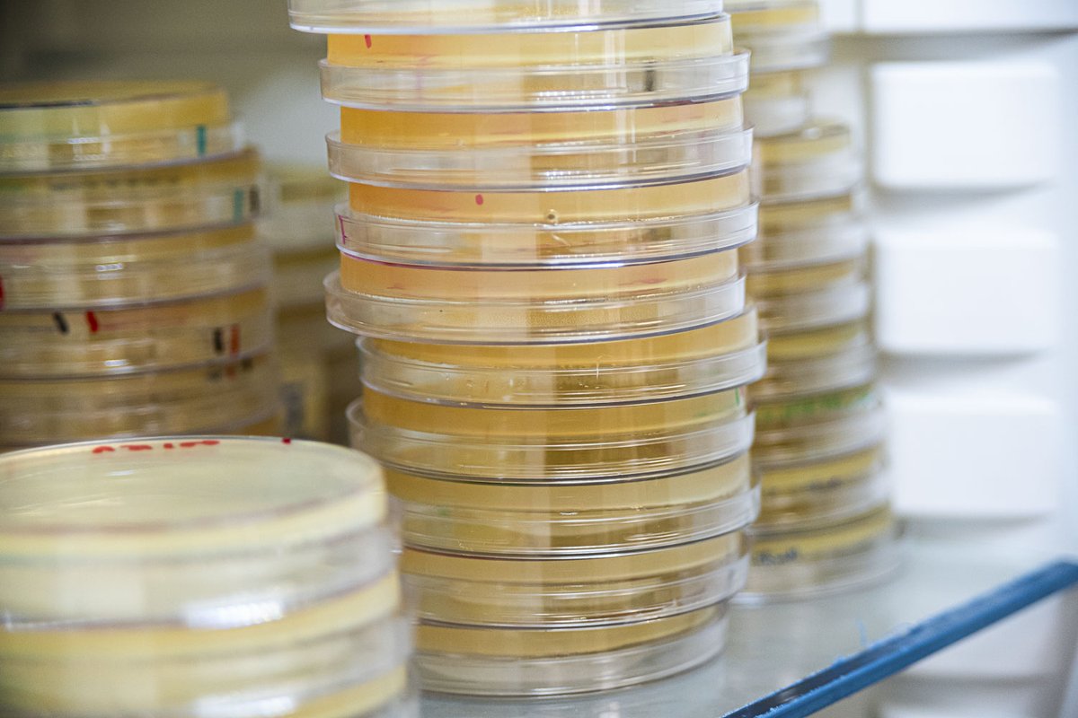 Centro Nacional de Biotecnología (CSIC) tweet media