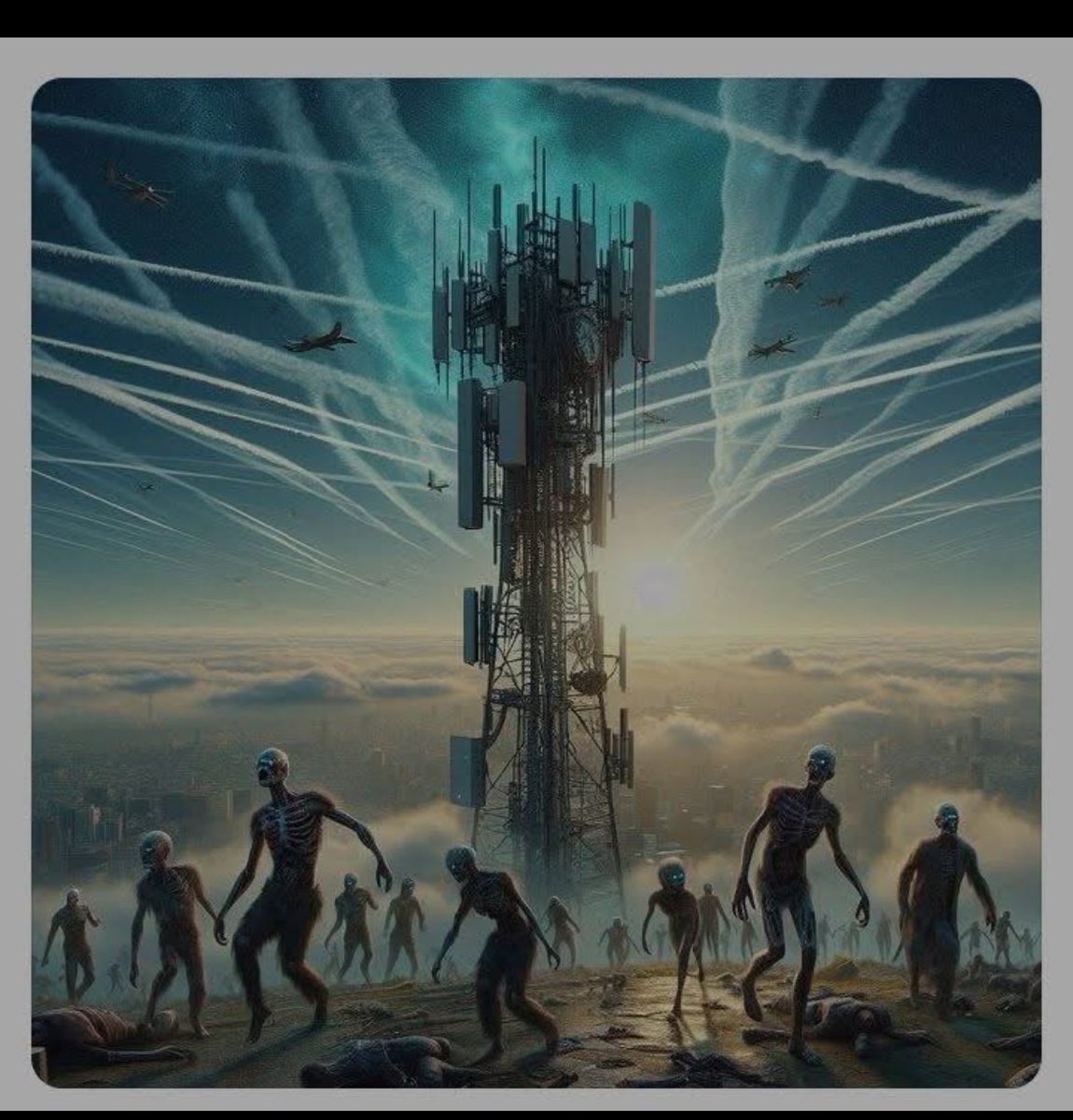 Recep Somuncu tweet media