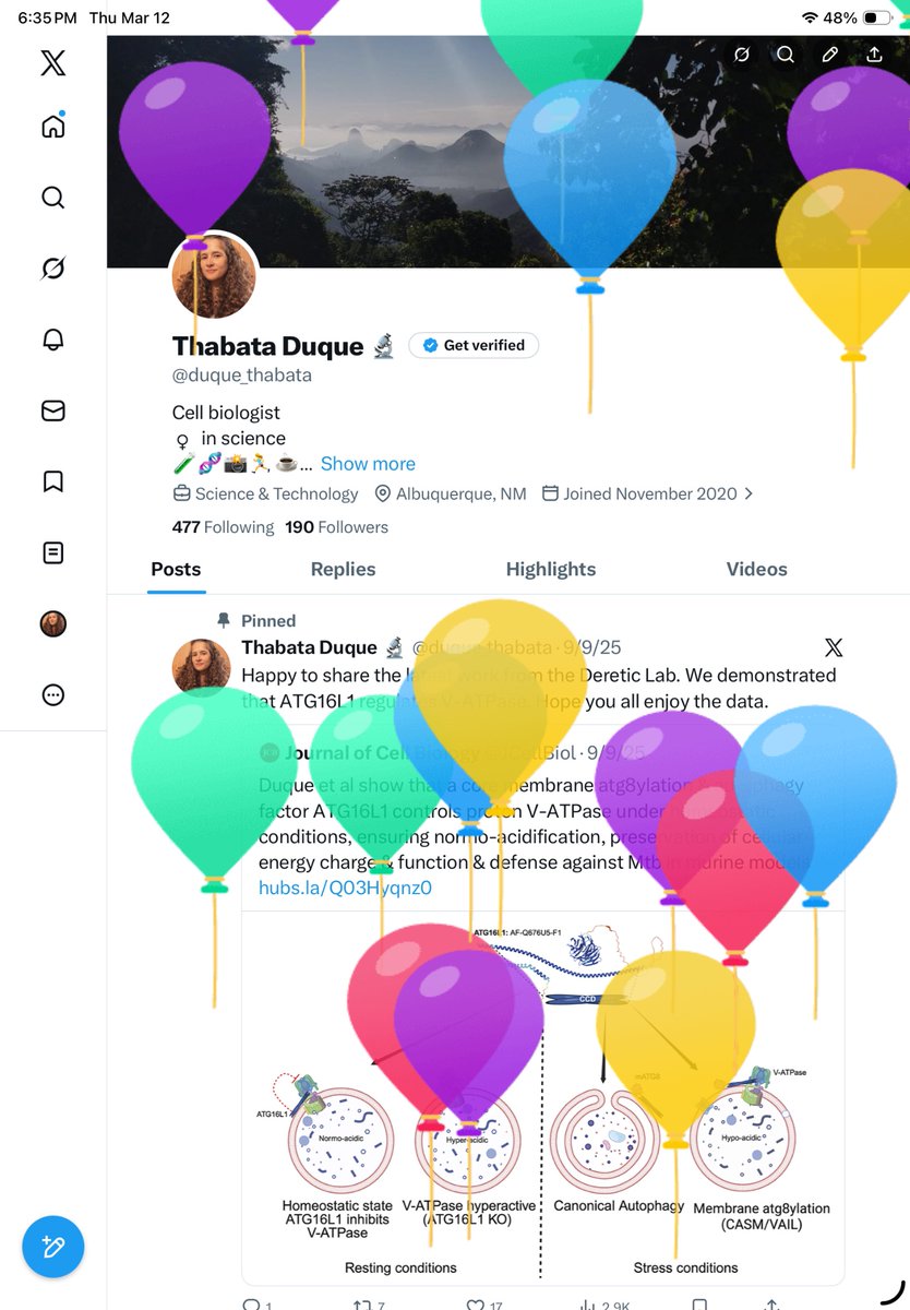 Thabata Duque 🔬 tweet media