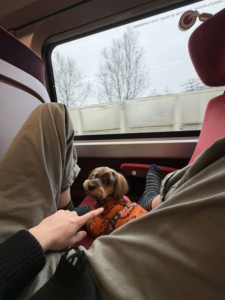 ✧*｡ ♡˚₊· 🦴 ·₊˚♡ ｡*✧ tweet media