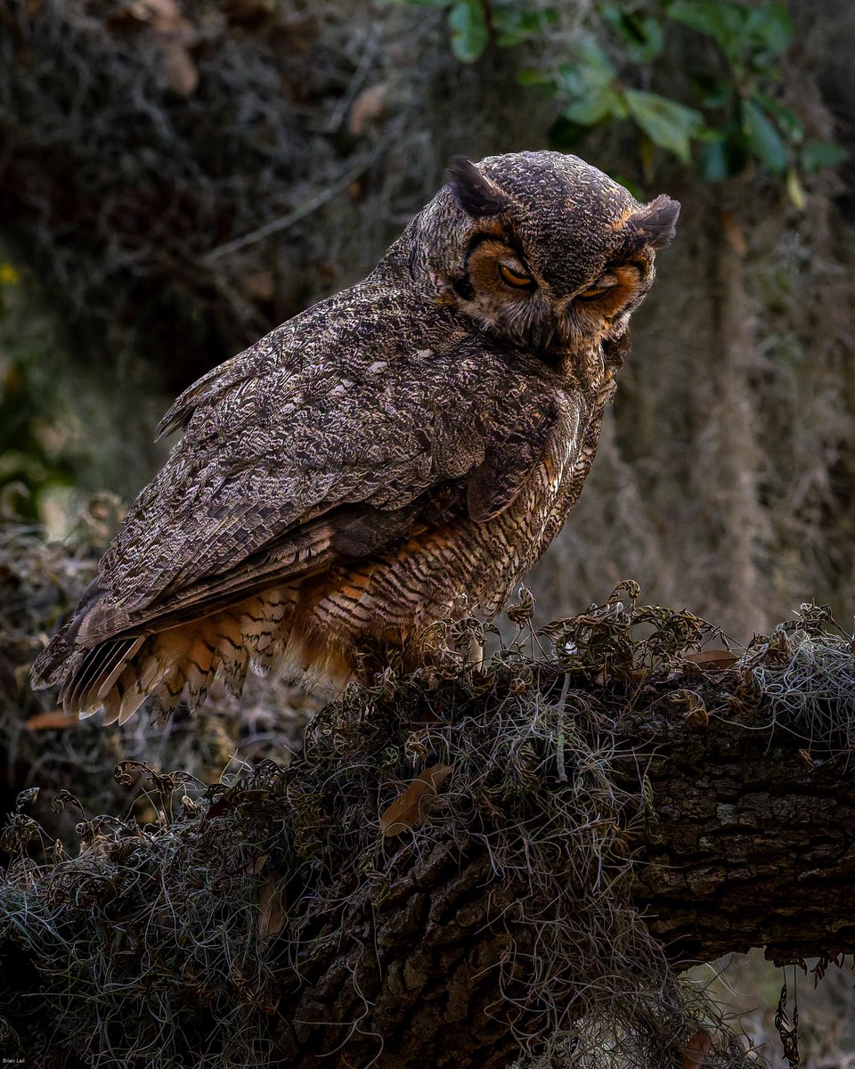 Brian ☀️🌏🌘 tweet media