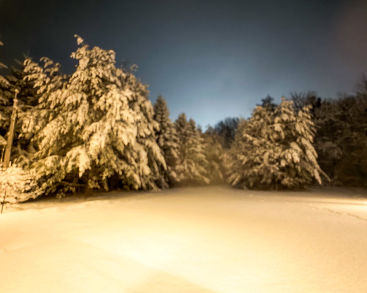 N. Bowman, PhD tweet media