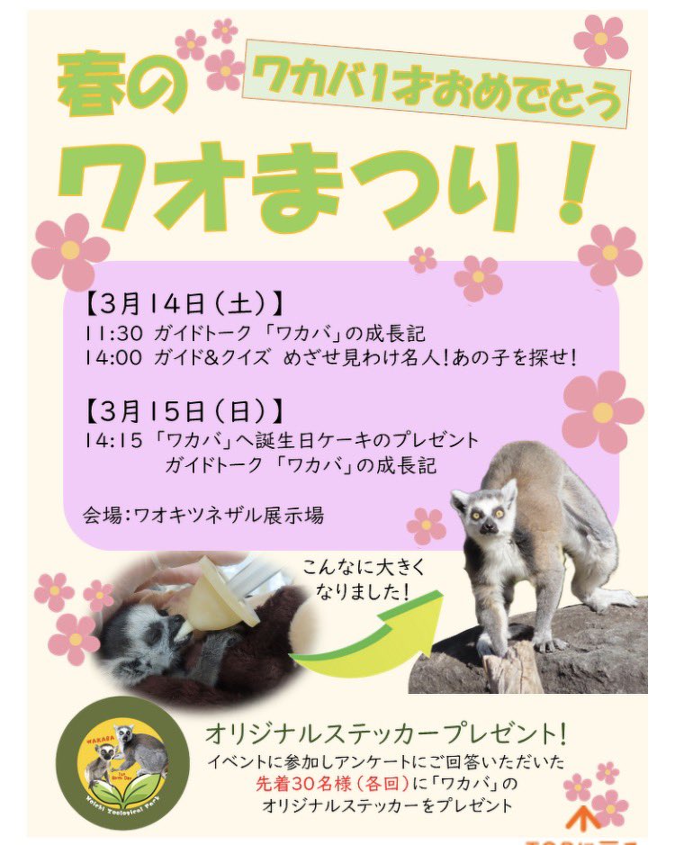 tosa_kingyo's tweet photo. 【春のワオまつり】
3月14日15日。のいち動物公園
https://t.co/VXbtZ392Dv https://t.co/SbQVBVClY1
