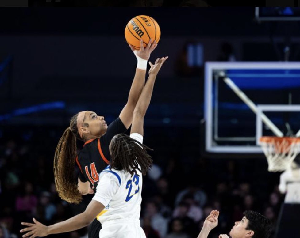 Manchester Lancers GBB tweet media