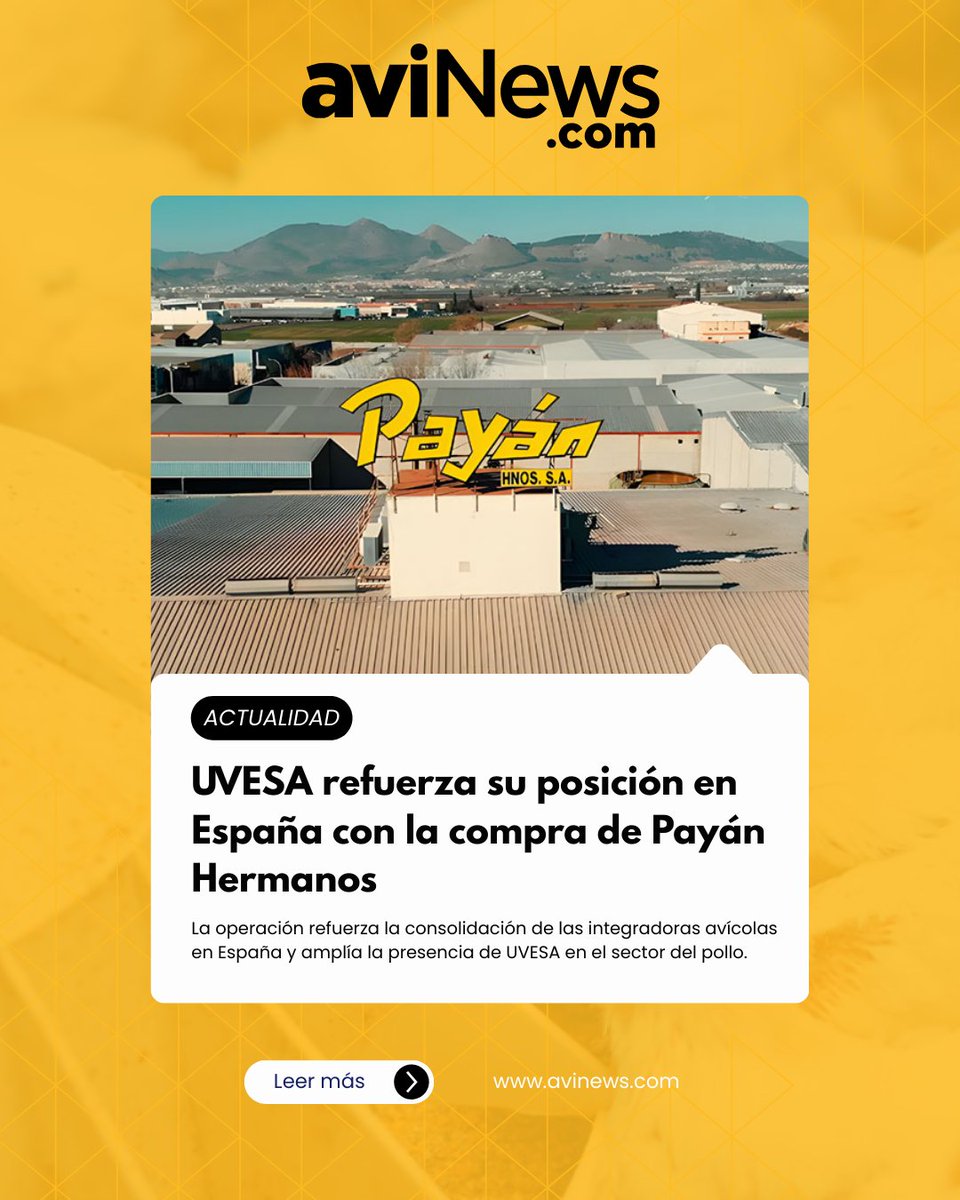 aviNews España - Revista tweet media