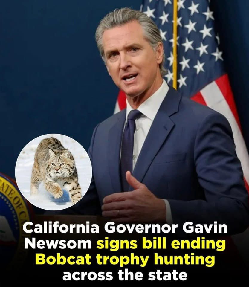 Well done California