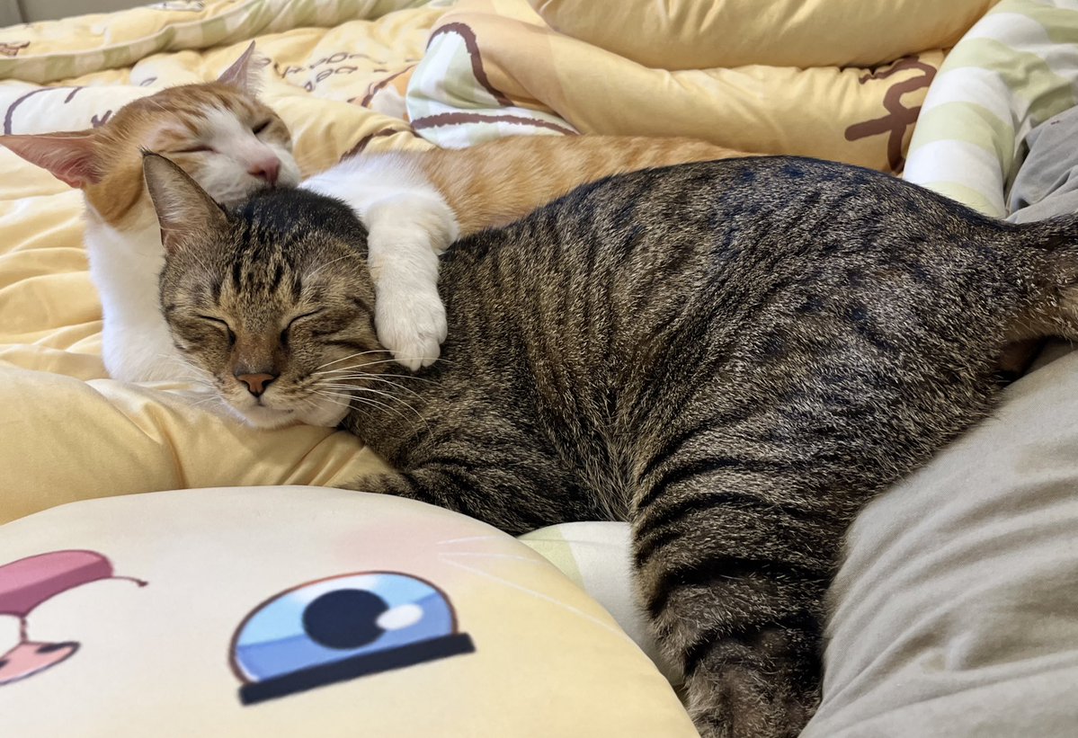 洛可洛斯特Loco Lost🥞鍊金術師VTUBER tweet media