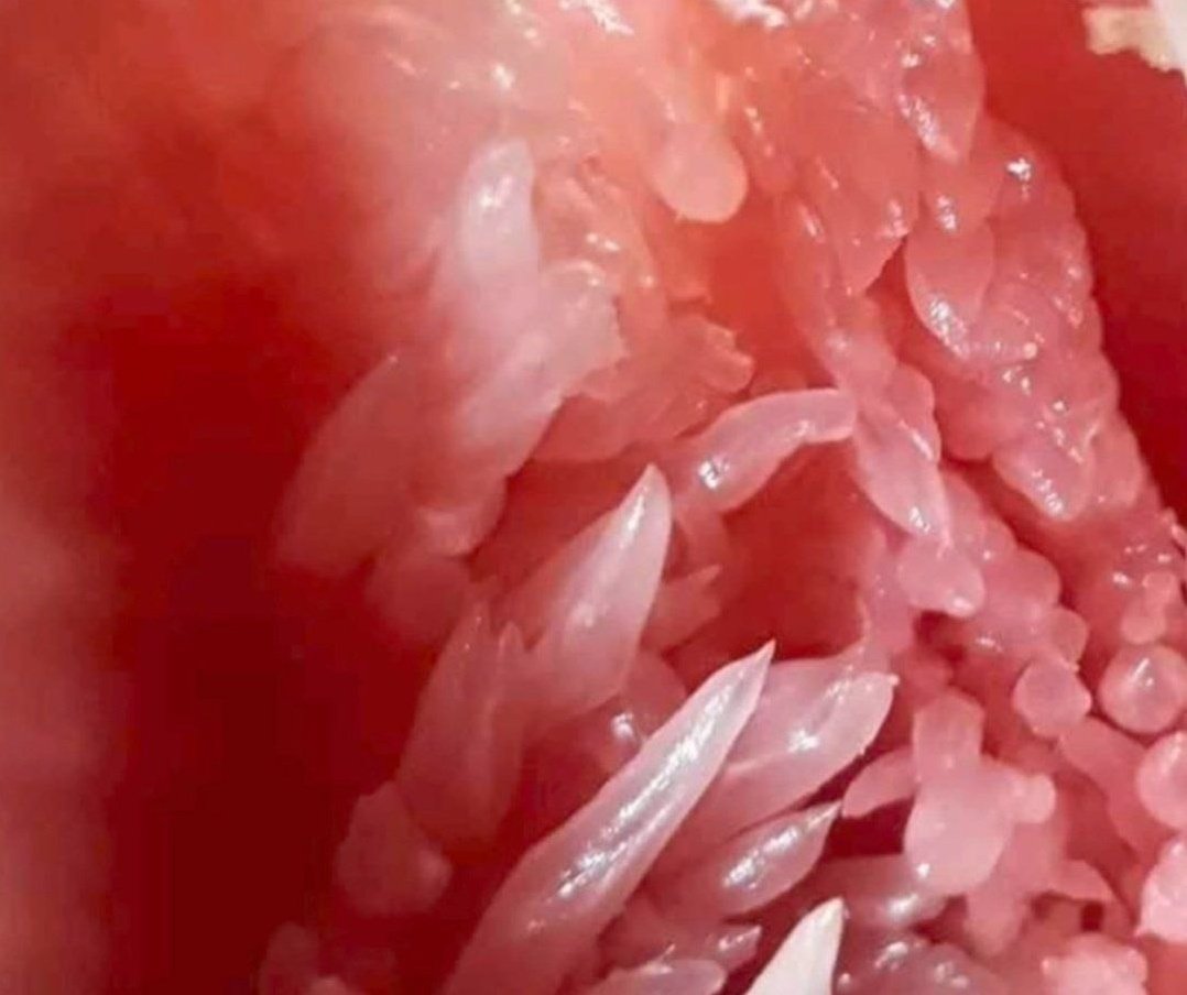 Dheeru ❤ tweet media