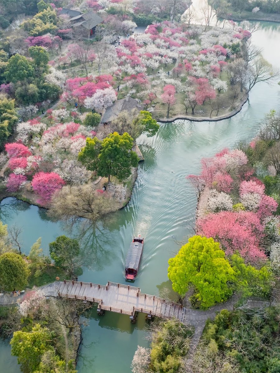 Sharing Travel tweet media