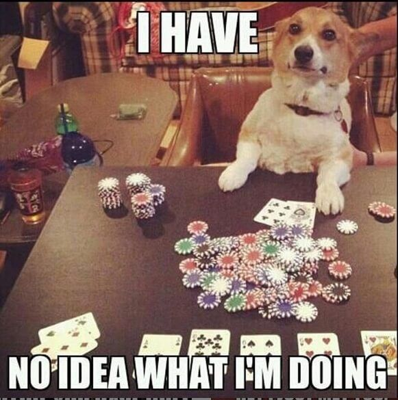 Degen Ape Trader tweet media