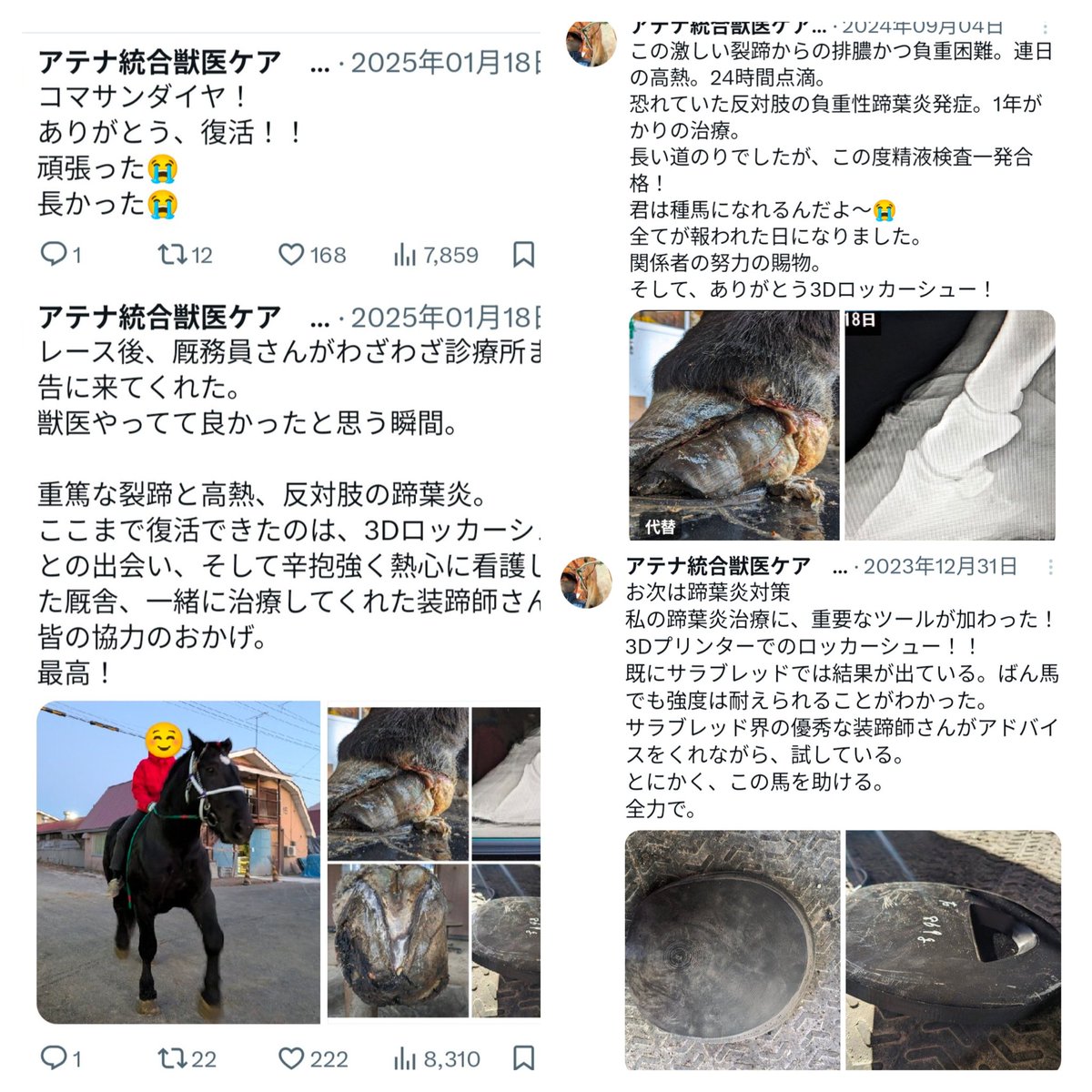 アテナ統合獣医ケア Ban'ei競走馬診療所 tweet media