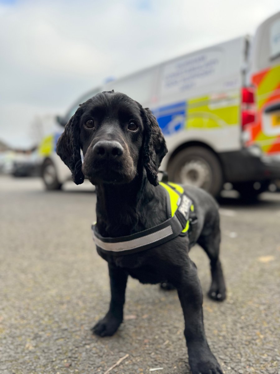 North East Regional Organised Crime Unit (NEROCU) tweet media