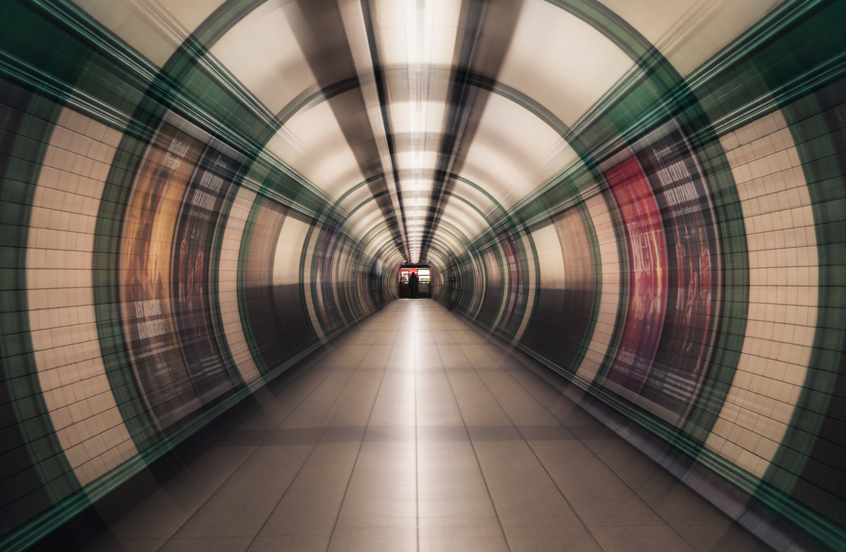 The Society of Photographers 📷 tweet media