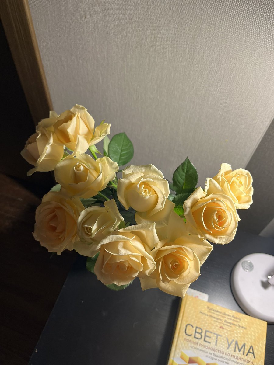 _kachannie_'s tweet photo. https://t.co/tzVy4APi46