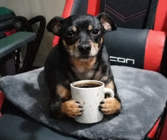 𝗫𝗲𝘄𝗹 / Ken V. ☄️ tweet media