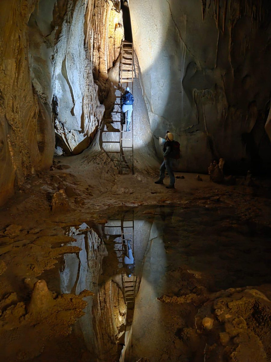 IACT - CSIC tweet media