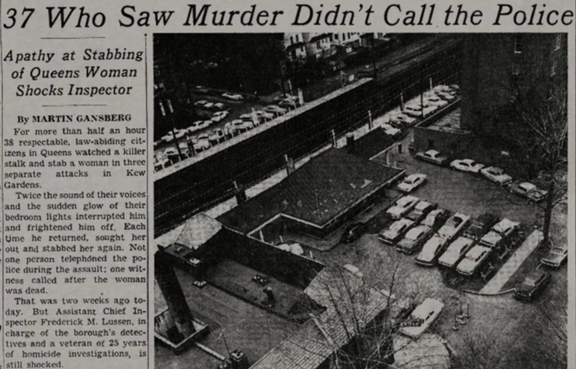 David Webb tweet media