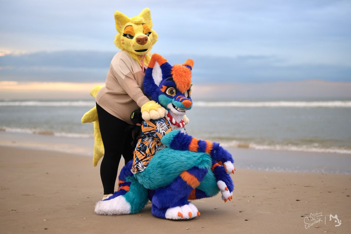 SharkPupStudios's tweet photo. @TheCorgiCam @kukuGummyShark 💛💙 https://t.co/Hui5dUMYpx
