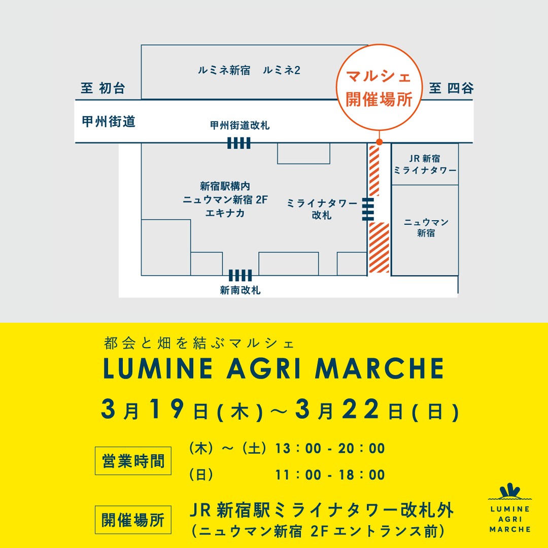 lumine_official (@lumine_official) / Posts / X