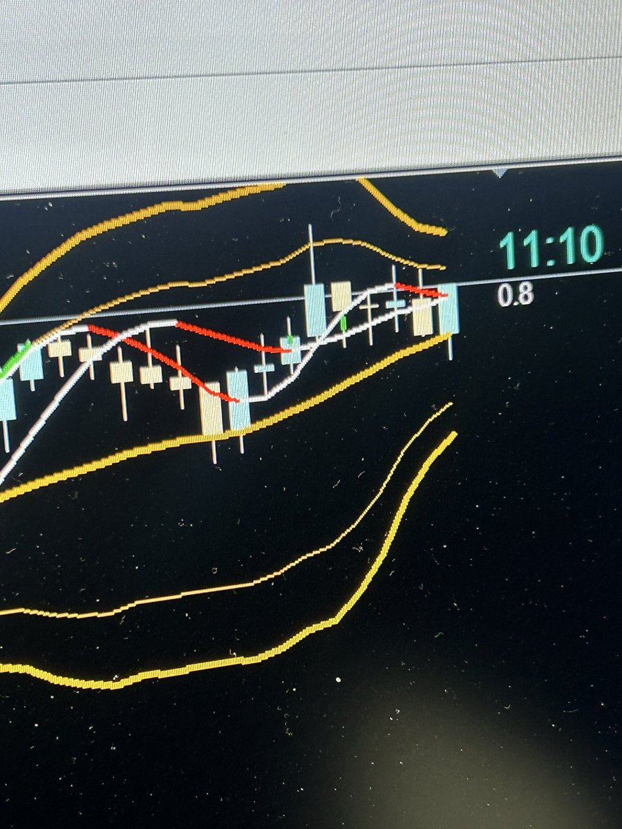 サイケ猫あくびﾀﾝFX🥰 tweet media