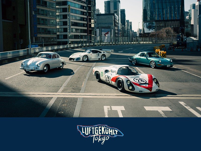 VIDEO OPTION tweet media