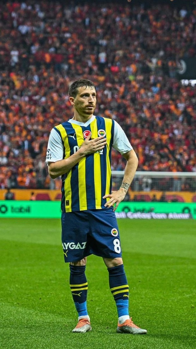 seni unutmak demek Fenerbahçe’nin mücadelesini unutmak demektir, 3 temmuz kumpasını unutmak demektir.. seni unutmak şerefini unutmak demektir

#MertHakanYandaşaÖzgürlük