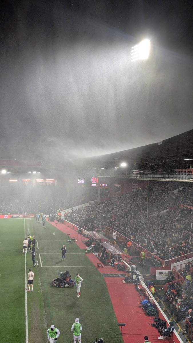 Joe, Dad & Emily tweet media