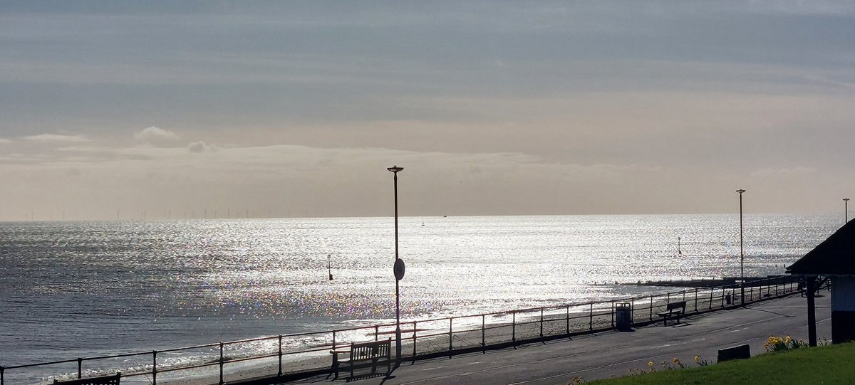 DR SIMON LEE tweet media