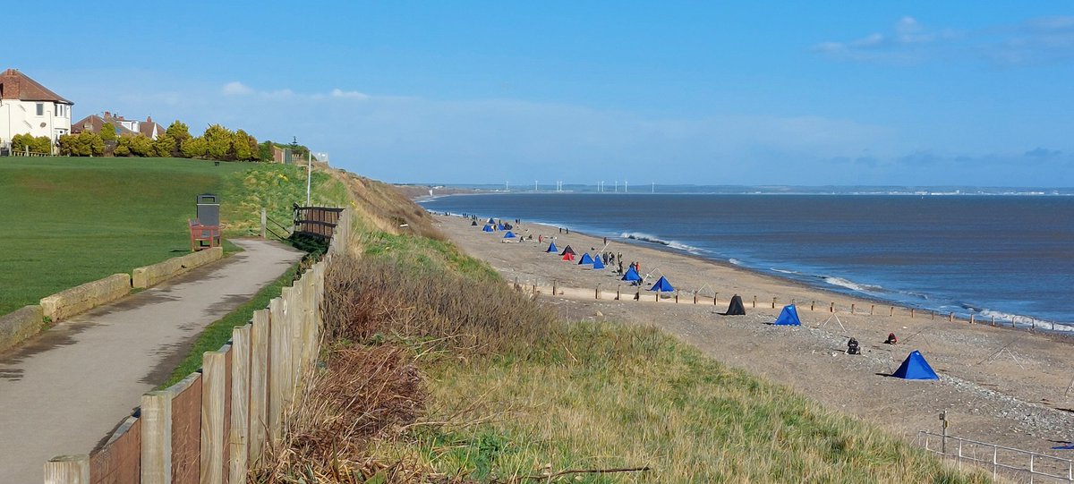 DR SIMON LEE tweet media