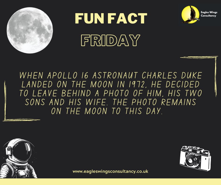 John McDonald tweet media