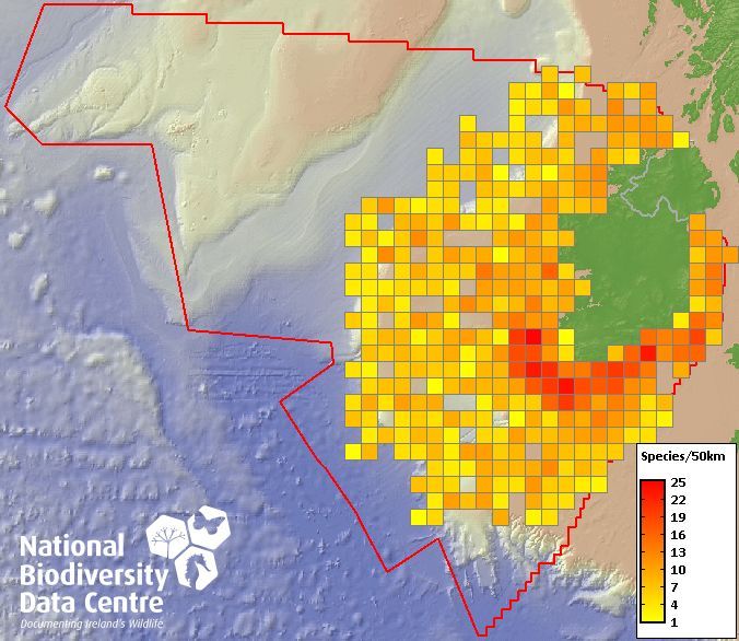 Biodiversity Ireland tweet media