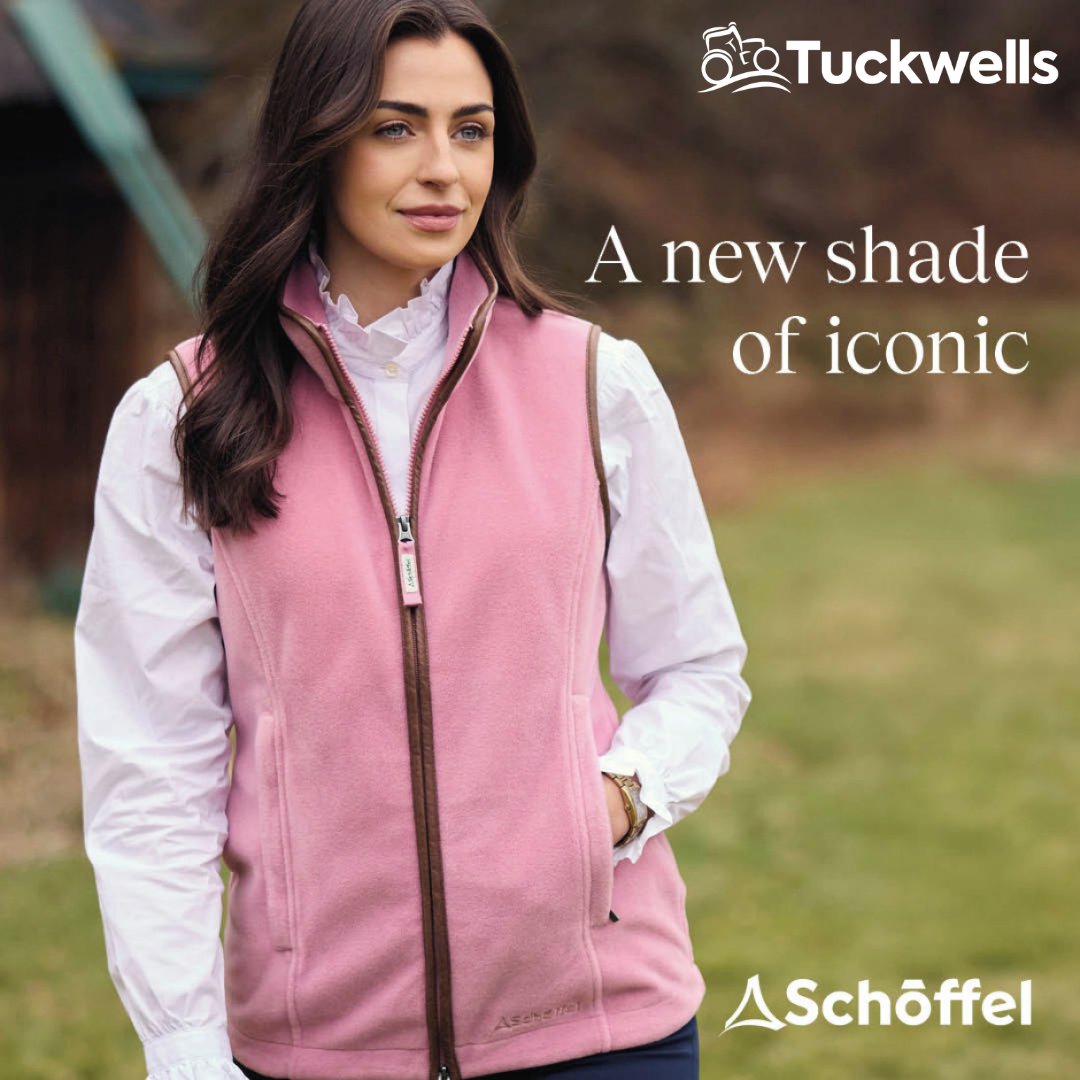 Tuckwells tweet media