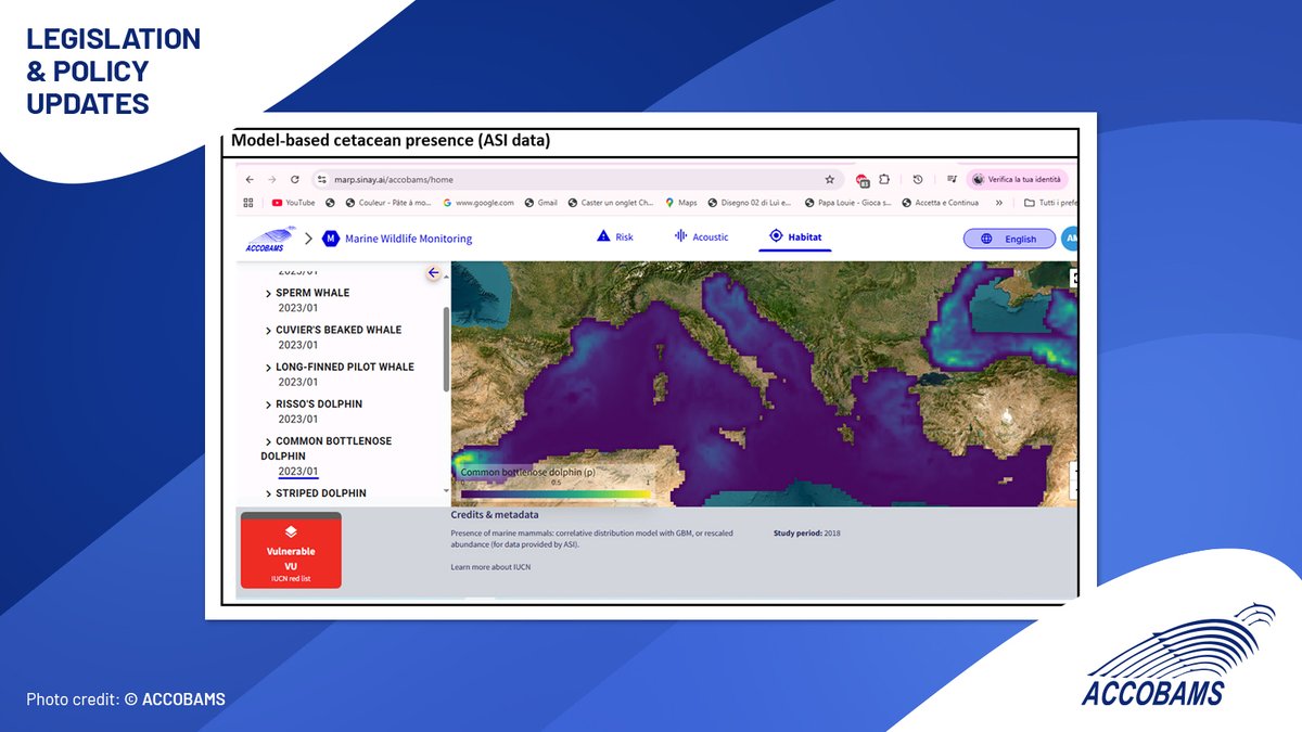 ACCOBAMS tweet media