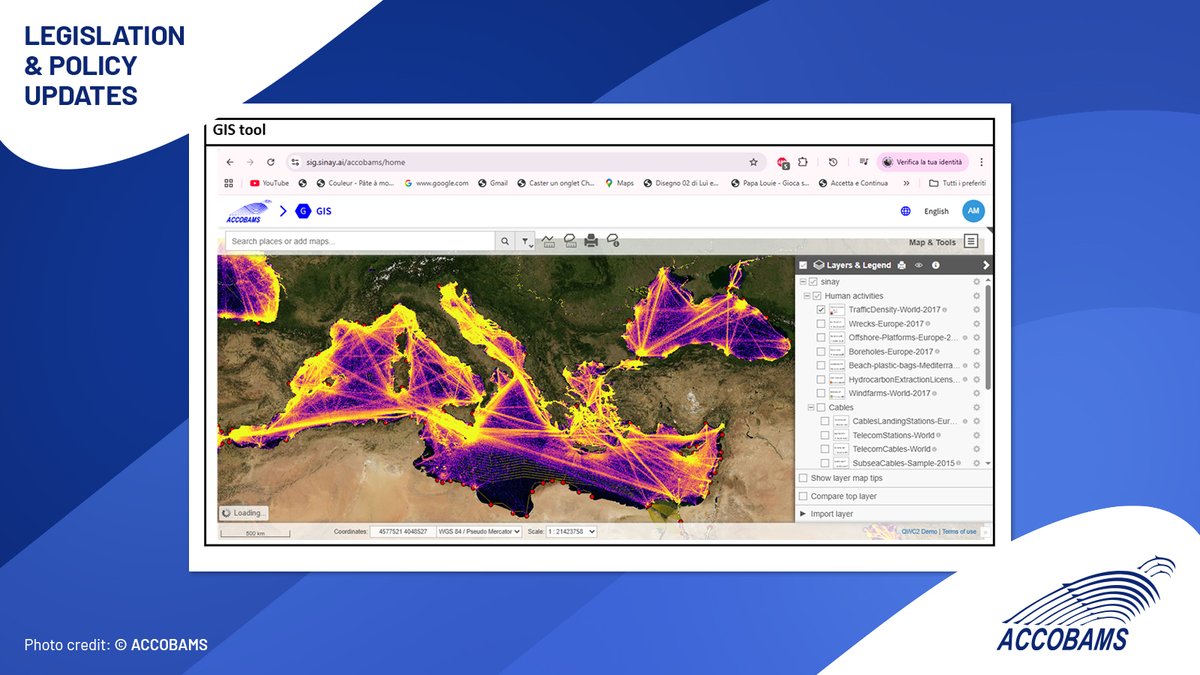 ACCOBAMS tweet media