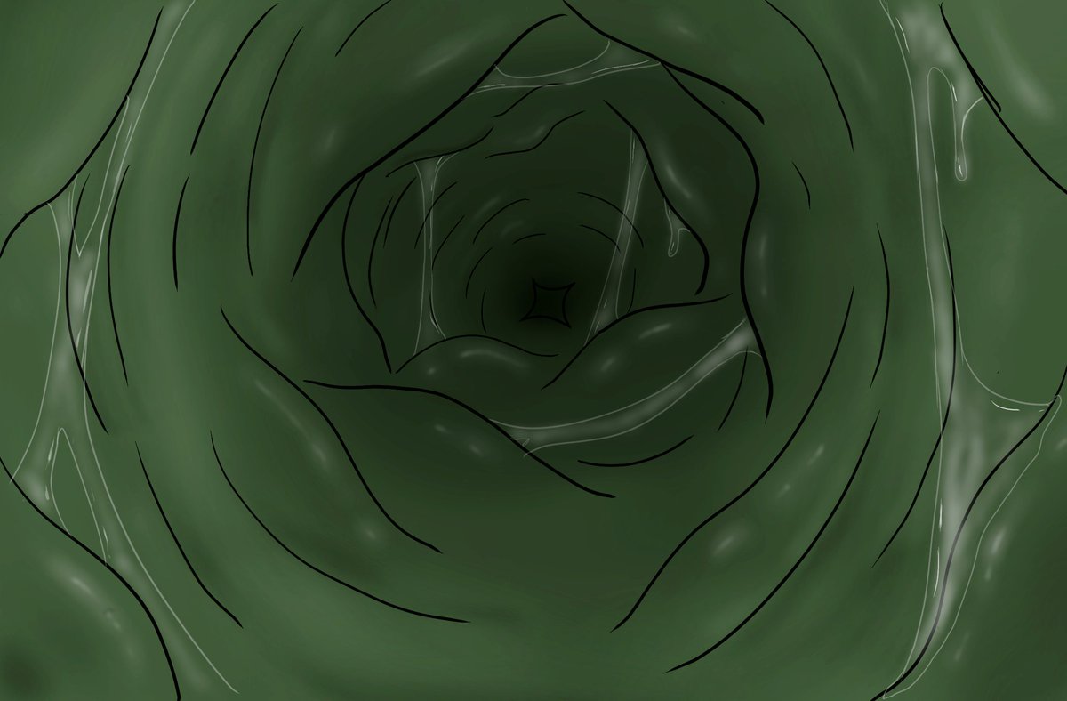 NoisyBird tweet media