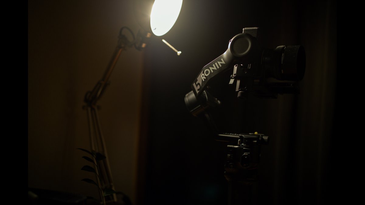 snake007 tweet media