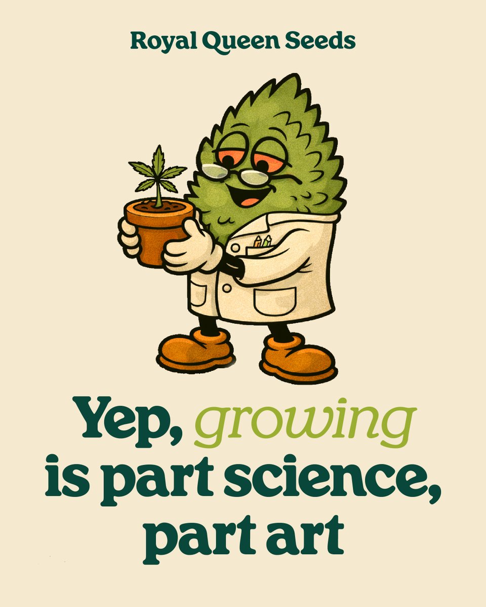 royalqueenseeds's tweet photo. Just fyi 🤜🏼🤛🏼 https://t.co/ACX85H978N