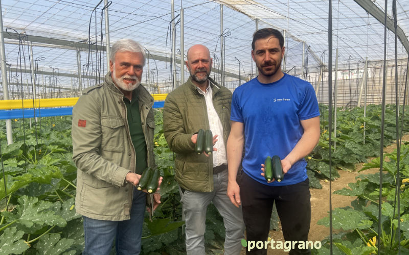 José Marín tweet media