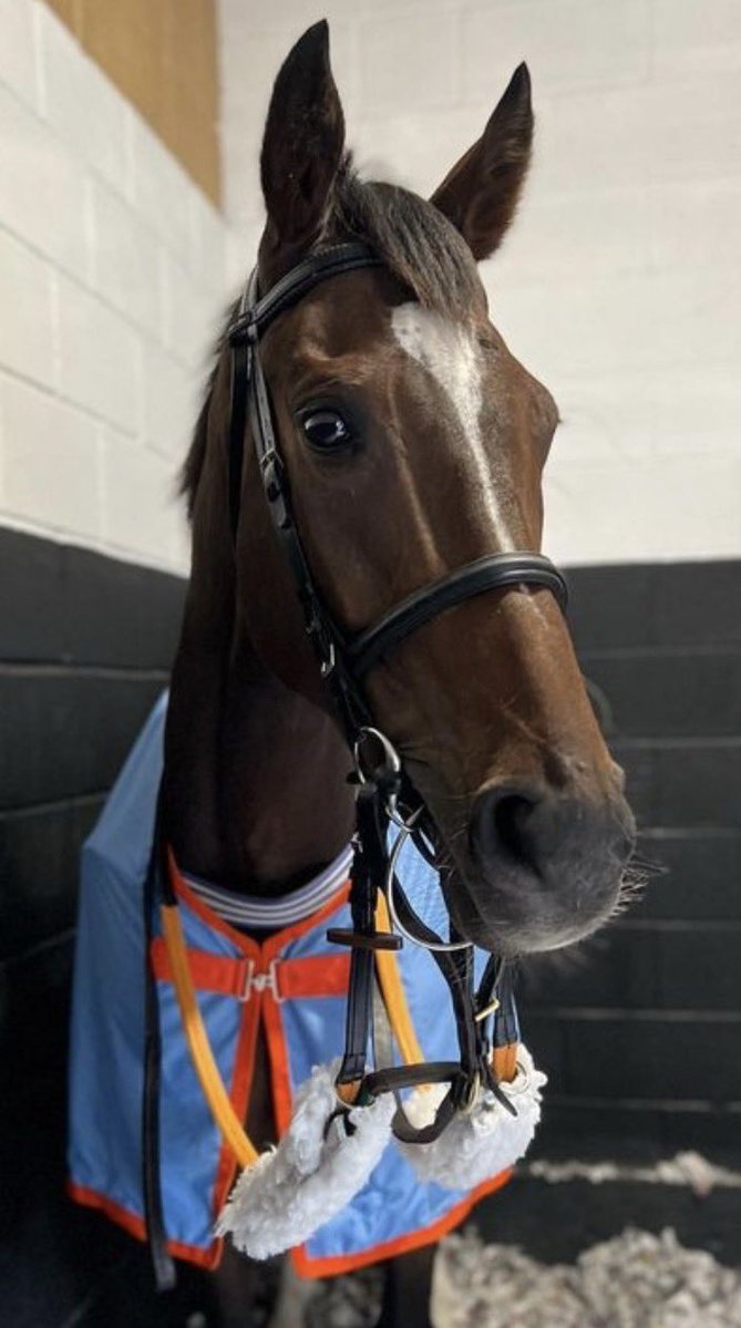 Tim PALIN tweet media