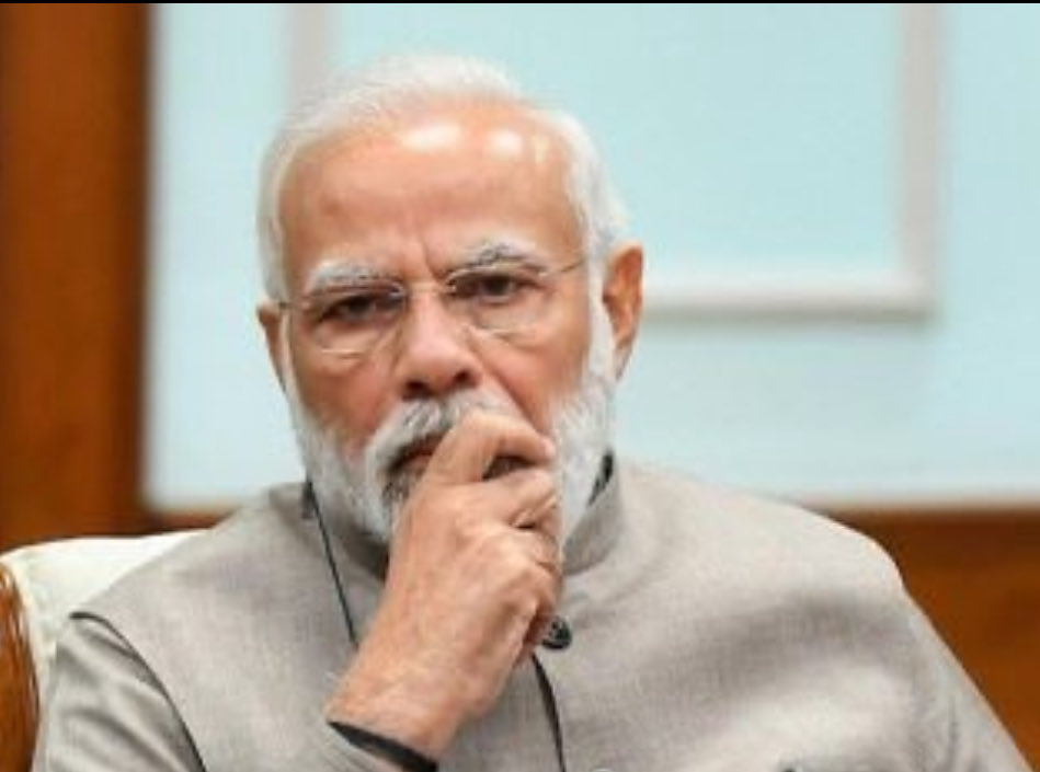 Barbod باربد رضایی tweet media