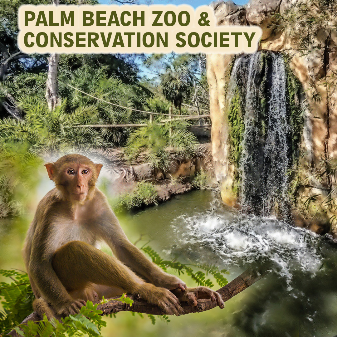 the Parklander Magazine tweet media