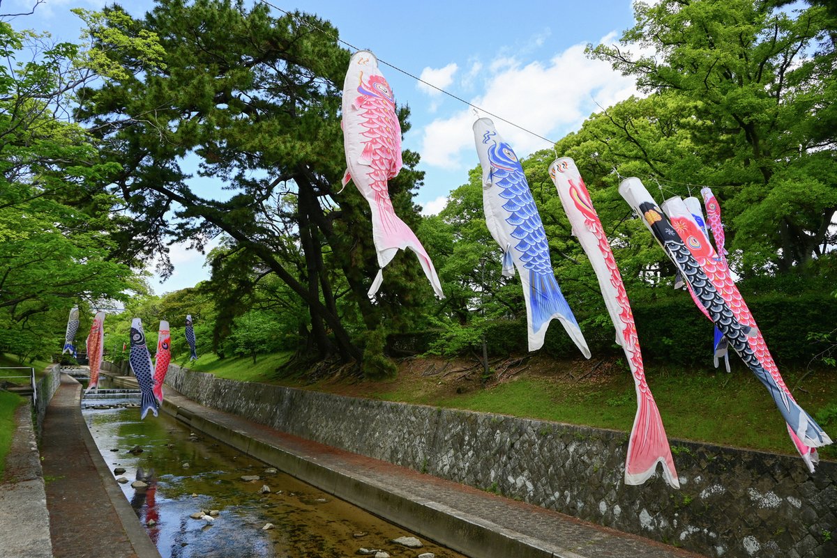 hansui_official's tweet photo. 夙川の春 — 西宮の桜と川辺の風景🌸
夙川の桜並木は香櫨園浜から北へ約4km続き、日本さくら名所百選。
満開の下でのお花見は春の風物詩です🍱 
桜の後も鯉のぼりが泳ぎ一年中憩える場所🎏
川辺と桜は切り離せない春の風景。暖かい陽気のもと、ぜひお出かけください🚶‍♀️

#阪神水道企業団 #はんすい https://t.co/vIYJbEBgKK