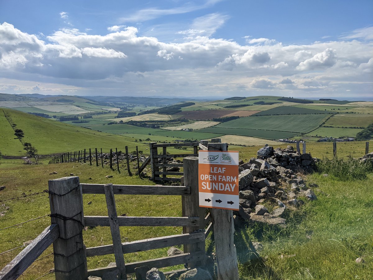 OpenFarmSunday tweet media