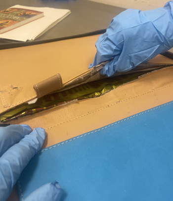 Senior Official Performing the Duties of Director tweet media